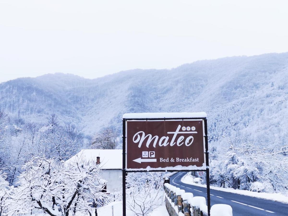 Mateo Transalpina Hotel Sasciori Bagian luar foto