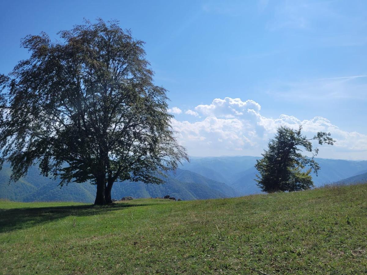 Mateo Transalpina Hotel Sasciori Bagian luar foto