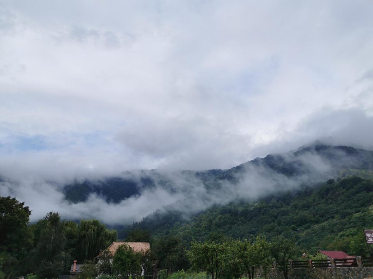 Mateo Transalpina Hotel Sasciori Bagian luar foto