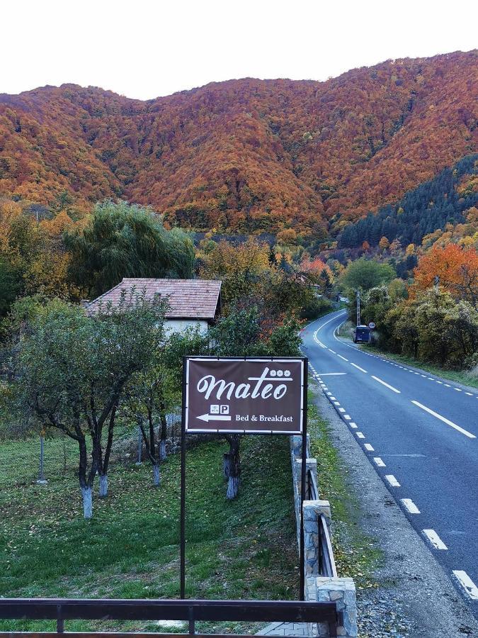 Mateo Transalpina Hotel Sasciori Bagian luar foto