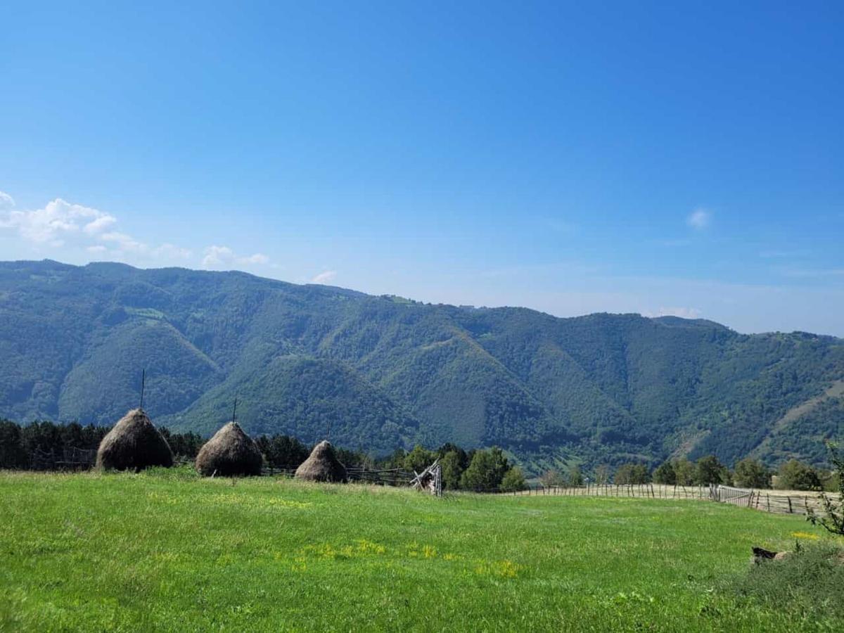 Mateo Transalpina Hotel Sasciori Bagian luar foto